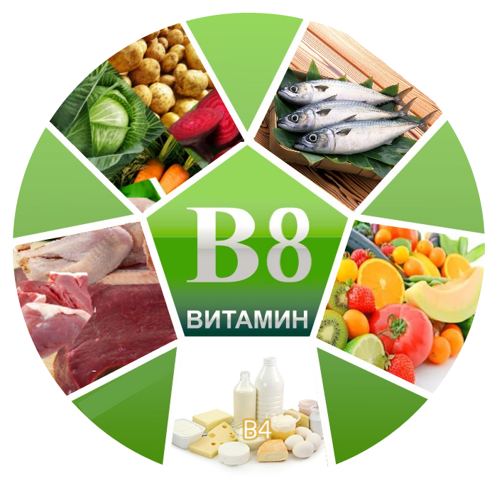 Витамин в 8 в продуктах. Витамин в8 инозитол. Витамин b8 инозитол. Витамин b8 (инозитол) норма. Витамины в8 и в9.